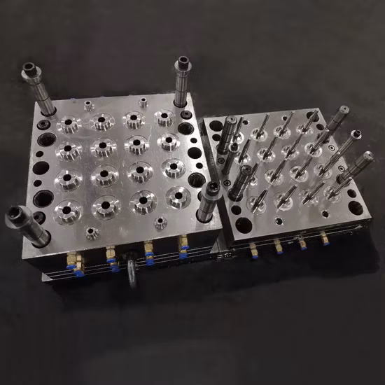 Stampo per iniezione di provette in plastica per forniture mediche per stampi a cavità multiple per la raccolta del sangue sotto vuoto OEM